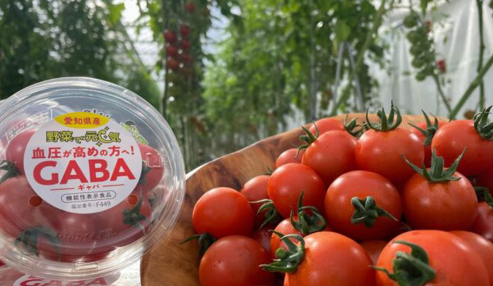 機能性表示食品「野菜で元気GABA」ミニトマト